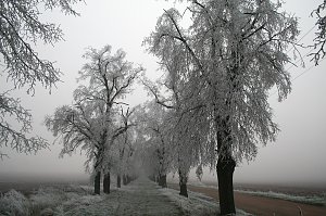 Winterlandschaft bei Kelbra