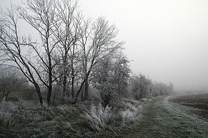 Winterlandschaft bei Kelbra