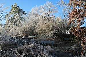 Winterlandschaft bei Kelbra