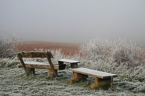 Winterlandschaft bei Kelbra