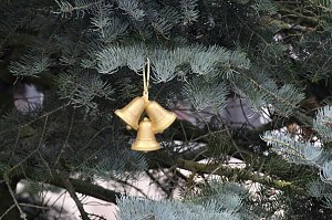 Gro&szlig;e Freude bei kleinen Wichteln - Kita Kinder schm&uuml;cken Weihnachtsbaum am Bad Langensalzaer Rathaus