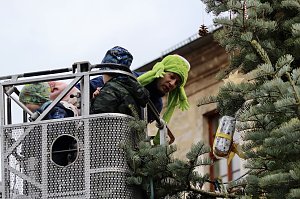 Gro&szlig;e Freude bei kleinen Wichteln - Kita Kinder schm&uuml;cken Weihnachtsbaum am Bad Langensalzaer Rathaus