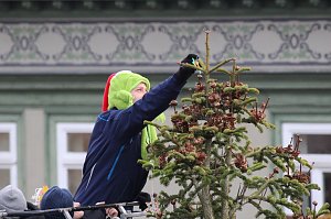 Gro&szlig;e Weihnachtsbaumschm&uuml;ck-Aktion auf dem T&ouml;pfermarkt in Bad Langensalza