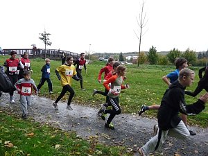 Stadtparklauf Sondershausen