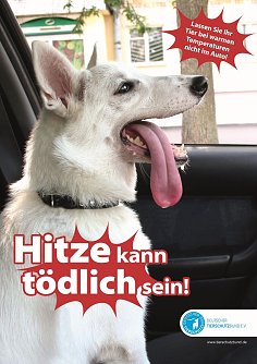 Tiere sch&uuml;tzen (Foto: Tierschutzbund)