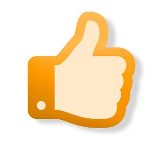 Like-Button (Foto: wirsinds)