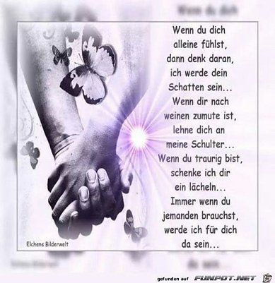Liebe f&uuml;rs Leben (Foto: )