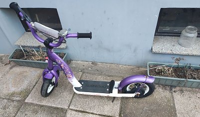 Roller lila (Foto: )