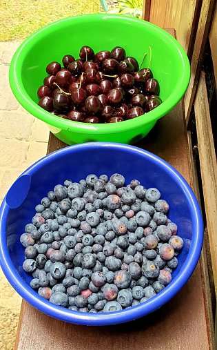 Bild: Kirschen und Blaubeeren