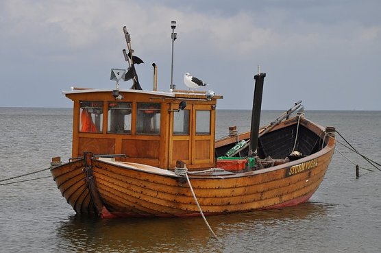 Ausgezeichnet (Foto: privat)