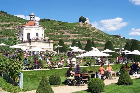 Immer dem Wein nach (Foto: pri) Immer dem Wein nach (Foto: pri)