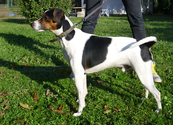 Maxi (Foto: C. Knust)