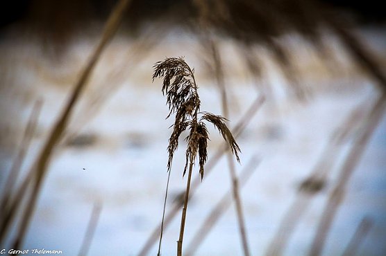 Wetter-Bild (Foto: Gernot Thelemann)
