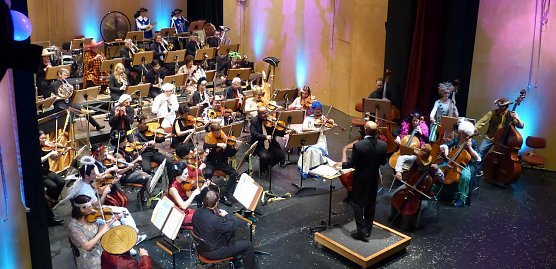 N&auml;rrisch verkleidet (Foto: Birgit Susemihl)