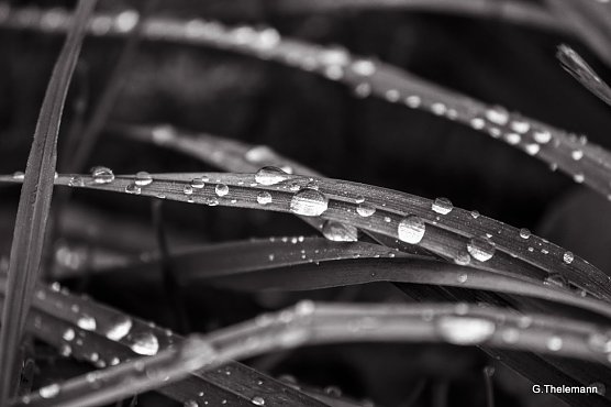 Wetter-Bild (Foto: Gernot Thelemann)