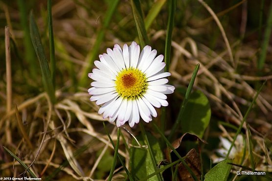 Wetterbild (Foto: Gernot Thelemann)