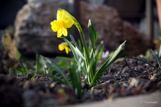 Wetterbild (Foto: Gernot Thelemann)