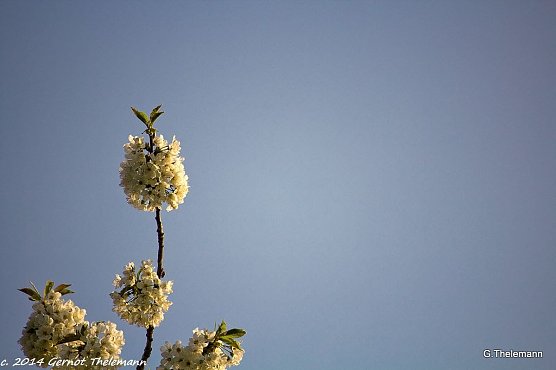 Wetterbild (Foto: Gernot Thelemann)
