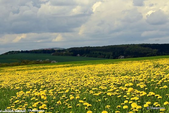 Wetterbild (Foto: Gernot Thelemann)