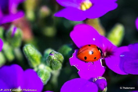 Wetterbild (Foto: Gernot Thelemann)