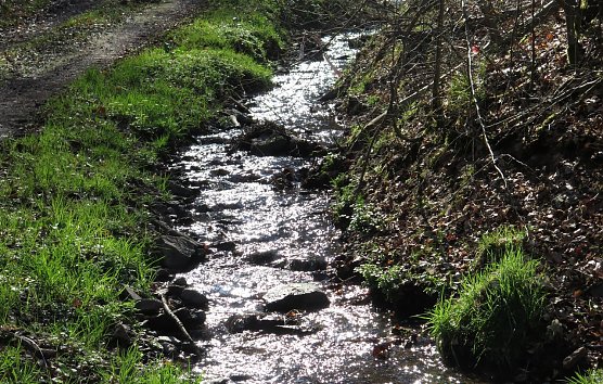 Am Braunsteinhaus (Foto: nnz)