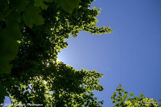 Wetterbild (Foto: Gernot Thelemann)