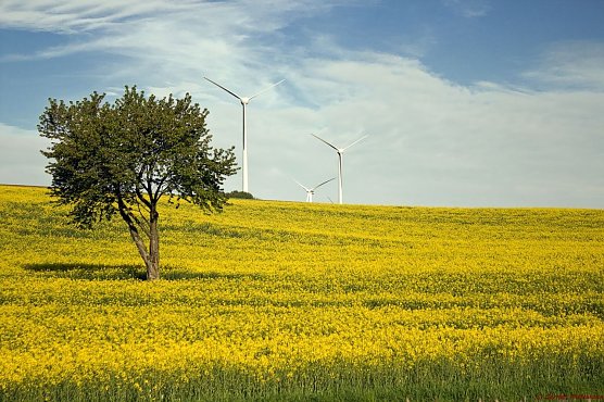 Wetterbild (Foto: Gernot Thelemann)