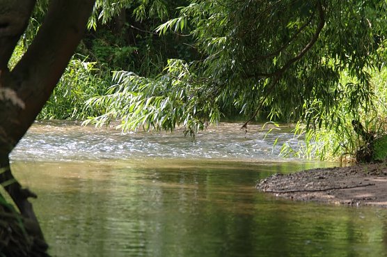 Wetter-Bild (Foto: Gernot Thelemann)