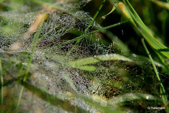 Wetterbild (Foto: Gernot Thelemann)