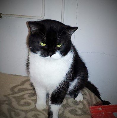 Tier der Woche: Politess (Foto: Birgit Hellrung)