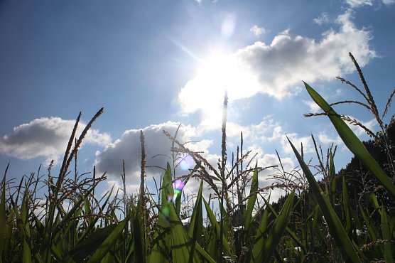 Wetterbild (Foto: Angelo Glashagel)