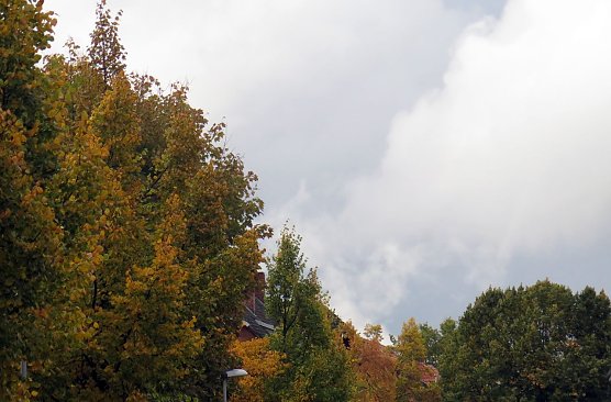 Wetter-Bild (Foto: nnz)