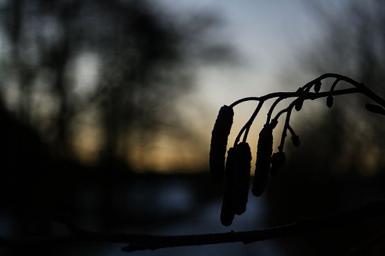 Wetter-Bild (Foto: Gernot Thelemann)