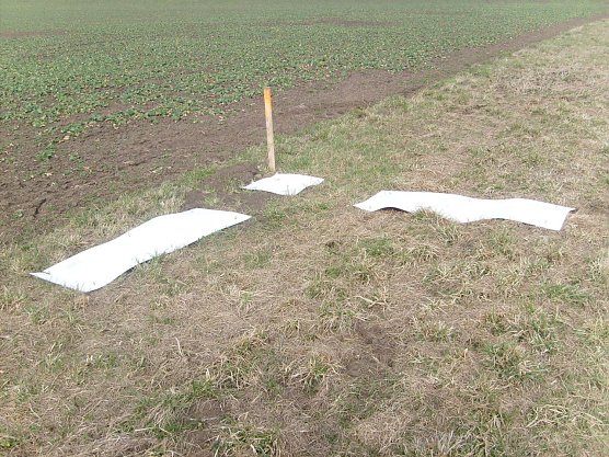 Signalmarken f&uuml;r Vermessungsfl&uuml;ge in Nordth&uuml;ringen - bitte in Ruhe lassen (Foto: Landesamt f&uuml;r Vermessung und Geoinformation des Freistaates Th&uuml;ringen (TLVermGeo))
