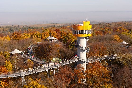 Der Baumkronenpfad im Herbst. (Foto: Re-Ko) Der Baumkronenpfad im Herbst. (Foto: Re-Ko)
