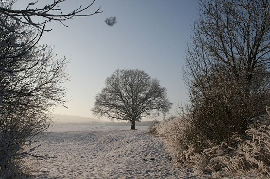 Wetter-Bild (Foto: Gernot Thelemann)