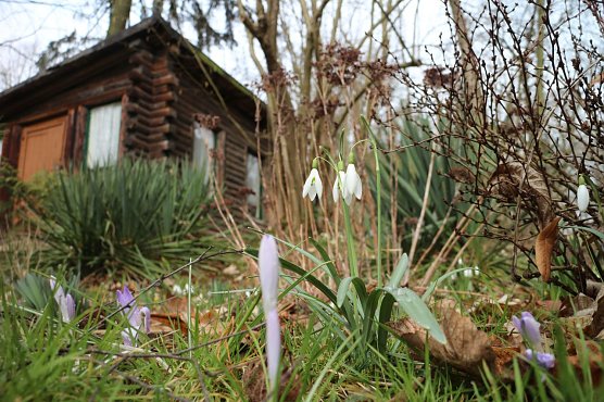 Wetterbild (Foto: Angelo Glashagel)