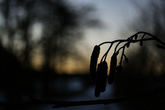 Wetterbild (Foto: Gernot Thelemann) Wetterbild (Foto: Gernot Thelemann)