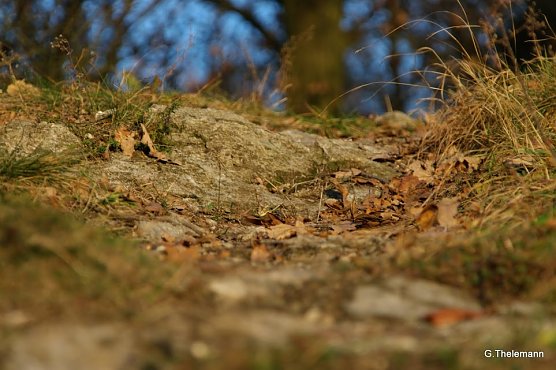 Wetter-Bild (Foto: Gernot Thelemann)
