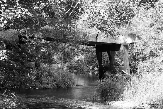 Trist (Foto: Gernot Thelemann)