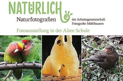 Plakat der Ausstellung (Foto: privat)