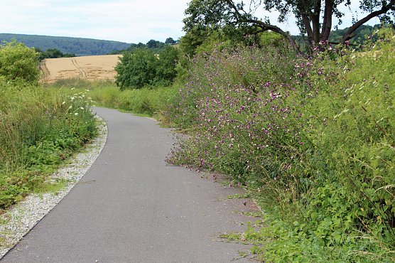 Pflegegemeinschaft Radweg bilden (Foto: Karl-Heinz Herrmann)