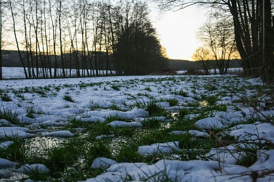 Ist das der Sommer 2016? (Foto: Gernot Thelemann)
