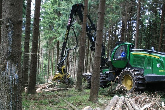 F&auml;llarbeiten (Foto: Mario Klein)