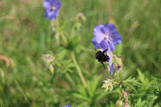 Wetterbild (Foto: Angelo Glashagel)
