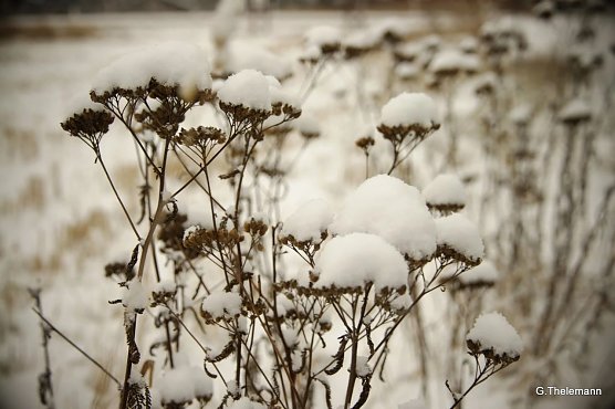Wetter-Bild (Foto: Gernot Thelemann)