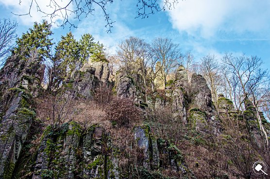 Das Steinm&uuml;hlental (Foto: Ch. Schelauske)