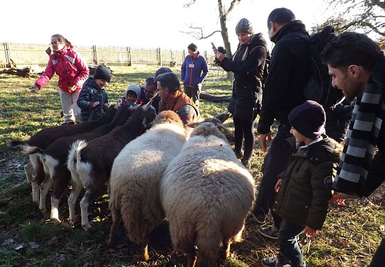 Erlebnistage im Schullandheim (Foto: Pressestelle UHK)