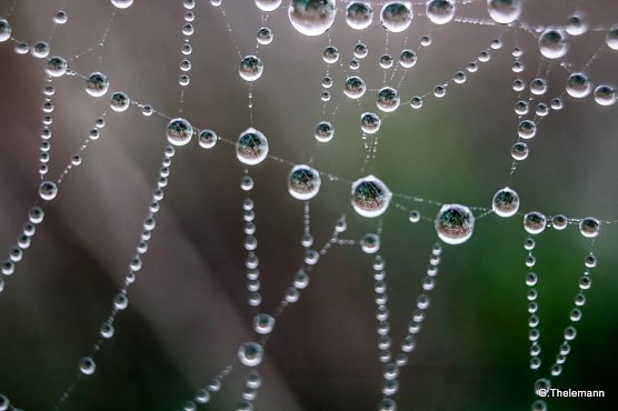 Wetter-Bild (Foto: Gernot Thelemann)