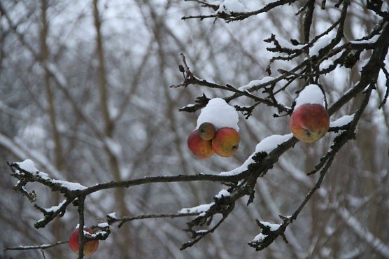 Wetter-Bild (Foto: nnz)